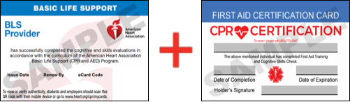 Sample American Heart Association AHA BLS CPR Card Certificaiton and First Aid Certification Card from CPR Certification Montgomery
