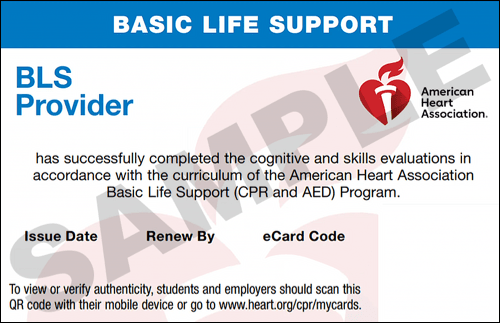 Sample American Heart Association AHA BLS CPR Card Certification from CPR Certification Montgomery
