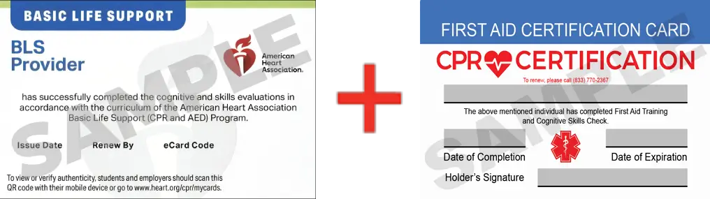Sample American Heart Association AHA BLS CPR Card Certification and First Aid Certification Card from CPR Certification Montgomery