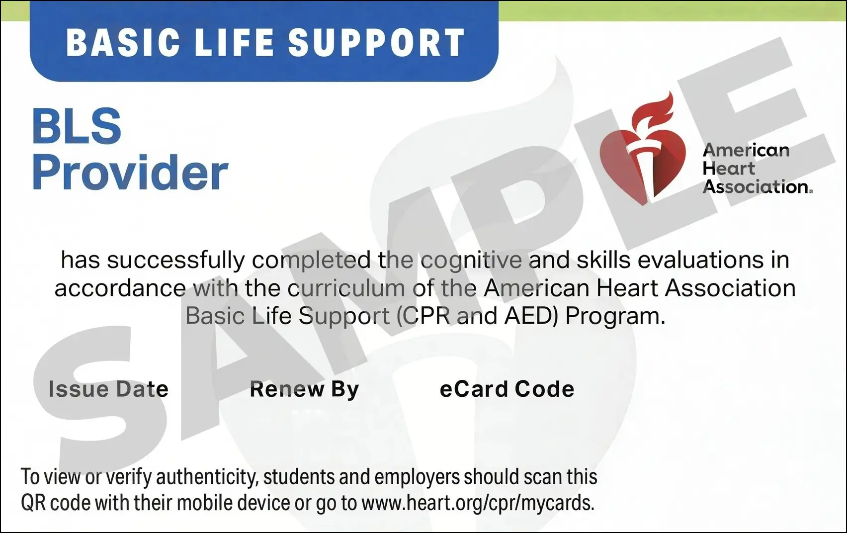 Sample American Heart Association AHA BLS CPR Card Certification from CPR Certification Montgomery
